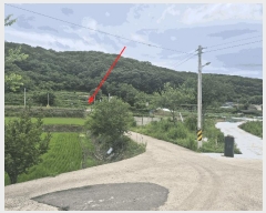  2025Ÿ31453  ɱ   666-1      (1)