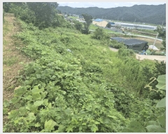  2025Ÿ31453  ɱ   666-1      (1)