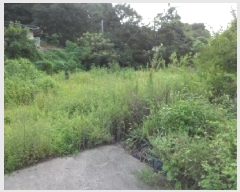  2025Ÿ31453  ɱ   666-1      (1)