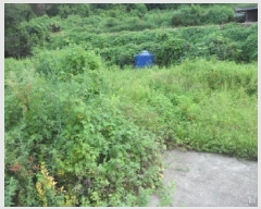  2025Ÿ31453  ɱ   666-1      (1)