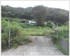  2025Ÿ31453  ɱ   666-1      (1)