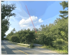  2025Ÿ��31459 �뱸 �޼��� ������ ���� ��89      ����(�Ӿ�)���