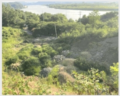  2025Ÿ��31459 �뱸 �޼��� ������ ���� ��89      ����(�Ӿ�)���