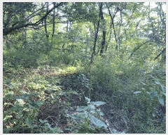  2025Ÿ��31459 �뱸 �޼��� ������ ���� ��89      ����(�Ӿ�)���