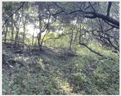  2025Ÿ��31459 �뱸 �޼��� ������ ���� ��89      ����(�Ӿ�)���