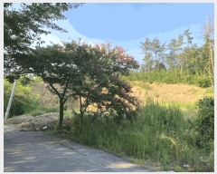  2025Ÿ��31459 �뱸 �޼��� ������ ���� ��89      ����(�Ӿ�)���