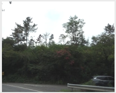  2025Ÿ��31459 �뱸 �޼��� ������ ���� ��89      ����(�Ӿ�)���