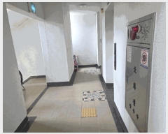  2025Ÿ31465 뱸 ޼ õ 732 õ¿վƳʽ2 202 121207ȣ    Ʈ