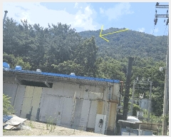  2025Ÿ��31483 �뱸 �޼��� ������ ���̸� ��229      ����(�Ӿ�)���