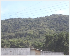  2025Ÿ��31483 �뱸 �޼��� ������ ���̸� ��229      ����(�Ӿ�)���