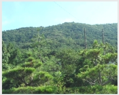  2025Ÿ��31483 �뱸 �޼��� ������ ���̸� ��229      ����(�Ӿ�)���