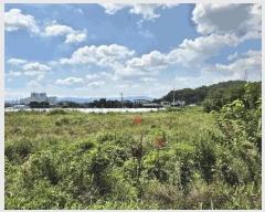  2025Ÿ31495  ֱ  긮 8-6      (1)