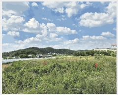  2025Ÿ31495  ֱ  긮 8-6      (1)