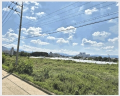  2025Ÿ31495  ֱ  긮 8-6      (1)