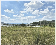  2025Ÿ31495  ֱ  긮 8-6      (1)