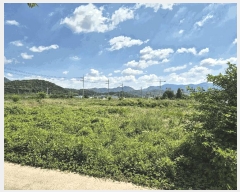  2025Ÿ31495  ֱ  긮 8-6      (1)