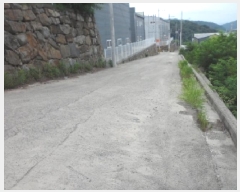  2025Ÿ��31531  �Ӿ߰��