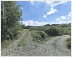  2025Ÿ��31568  ���������