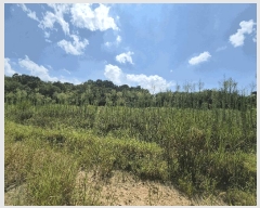  2025Ÿ��31568  ���������