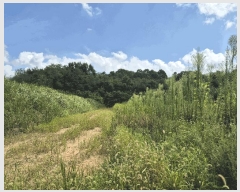  2025Ÿ��31568  ���������