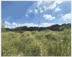  2025Ÿ��31568  ���������