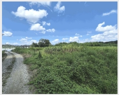  2025Ÿ��31568  ���������