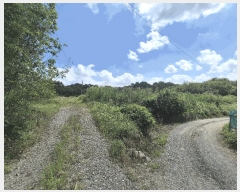  2025Ÿ��31568  ���������