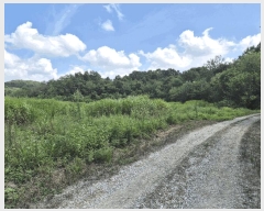  2025Ÿ��31568  ���������