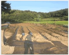  2025Ÿ��31633 ��� ���ɱ� ���� ���⸮ 365      ����(��1)���