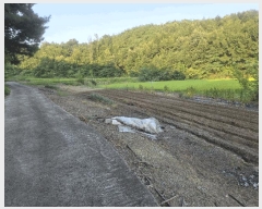  2025Ÿ��31633 ��� ���ɱ� ���� ���⸮ 365      ����(��1)���