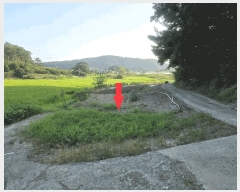  2025Ÿ��31633 ��� ���ɱ� ���� ���⸮ 365      ����(��1)���