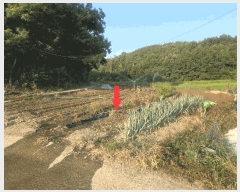  2025Ÿ��31633 ��� ���ɱ� ���� ���⸮ 365      ����(��1)���