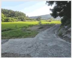  2025Ÿ��31633 ��� ���ɱ� ���� ���⸮ 365      ����(��1)���