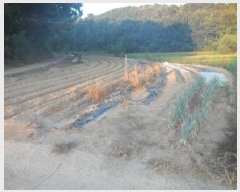  2025Ÿ��31633 ��� ���ɱ� ���� ���⸮ 365      ����(��1)���