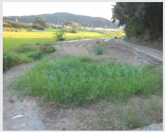  2025Ÿ��31633 ��� ���ɱ� ���� ���⸮ 365      ����(��1)���