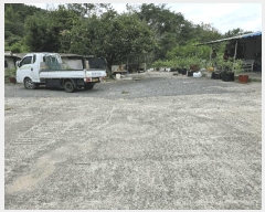  2025Ÿ��31663 �뱸 �޼��� ������ ���︮ 437      ������