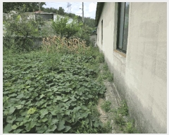  2025Ÿ��31663 �뱸 �޼��� ������ ���︮ 437      ������