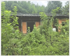  2025Ÿ��31669 �뱸 �޼��� ������ �縮 217-9      ����(�Ӿ�)���