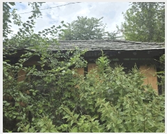  2025Ÿ��31669 �뱸 �޼��� ������ �縮 217-9      ����(�Ӿ�)���