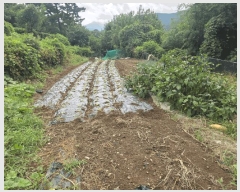  2025Ÿ��31669 �뱸 �޼��� ������ �縮 217-9      ����(�Ӿ�)���