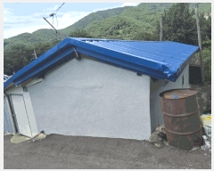  2025Ÿ��31669 �뱸 �޼��� ������ �縮 217-9      ����(�Ӿ�)���