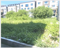  2025Ÿ��31699 �뱸 �޼��� ������ ���� 589-3      ����(����)���