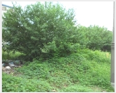  2025Ÿ��31699 �뱸 �޼��� ������ ���� 589-3      ����(����)���