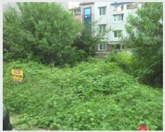  2025Ÿ��31699 �뱸 �޼��� ������ ���� 589-3      ����(����)���