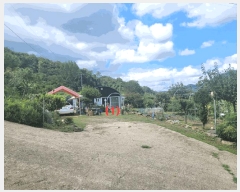  2025Ÿ��31730 �뱸 �޼��� ��â�� �ܻ긮 785      ����(��1)���