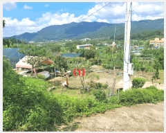  2025Ÿ��31730 �뱸 �޼��� ��â�� �ܻ긮 785      ����(��1)���