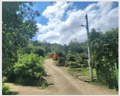  2025Ÿ��31730 �뱸 �޼��� ��â�� �ܻ긮 785      ����(��1)���