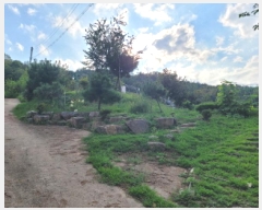  2025Ÿ��31730 �뱸 �޼��� ��â�� �ܻ긮 785      ����(��1)���