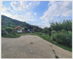  2025Ÿ��31730 �뱸 �޼��� ��â�� �ܻ긮 785      ����(��1)���