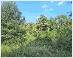  2025Ÿ��31766  �����